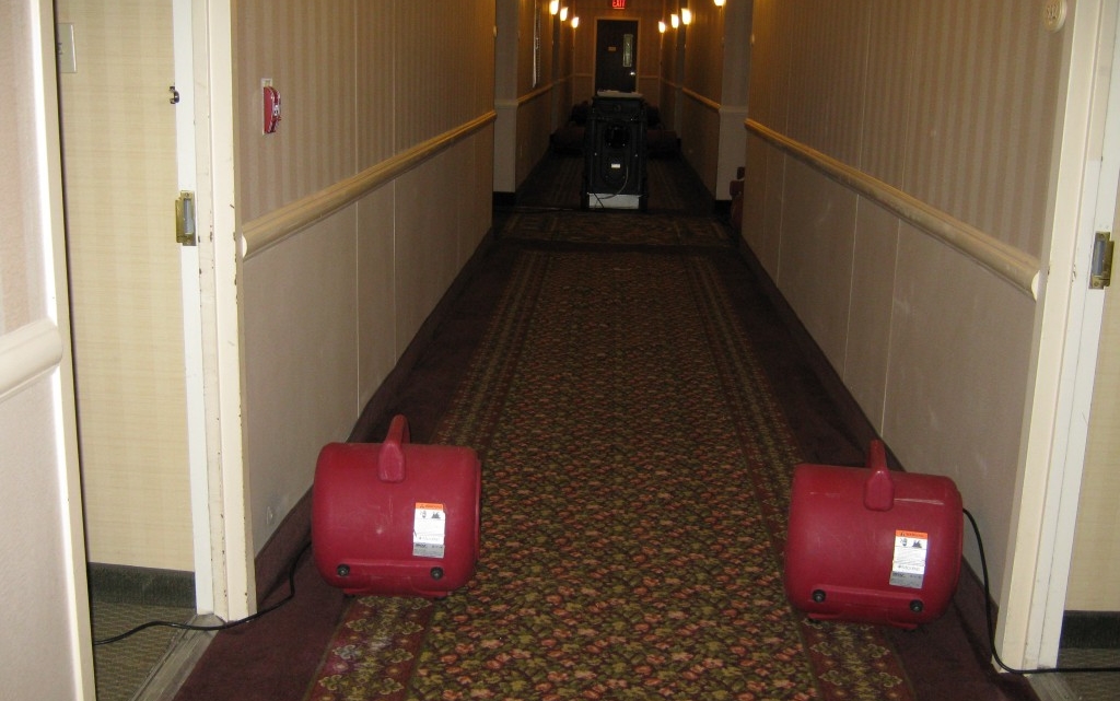 Carpet and Upholstery Mitigation - Water Extraction Springfield MO