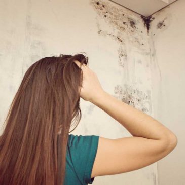 How to Spot Mold in Your Home – Mildew Removal Springfield MO