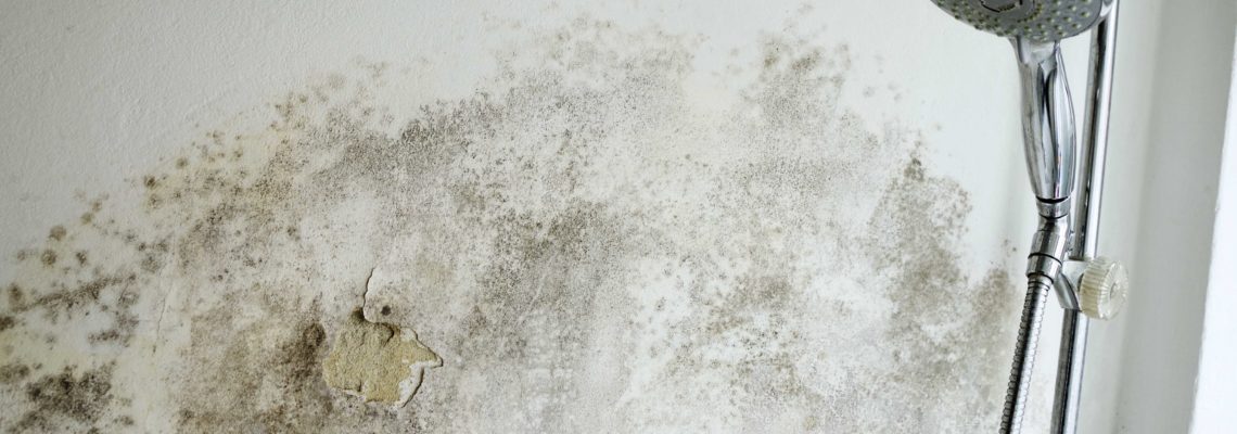Water Stains on Walls