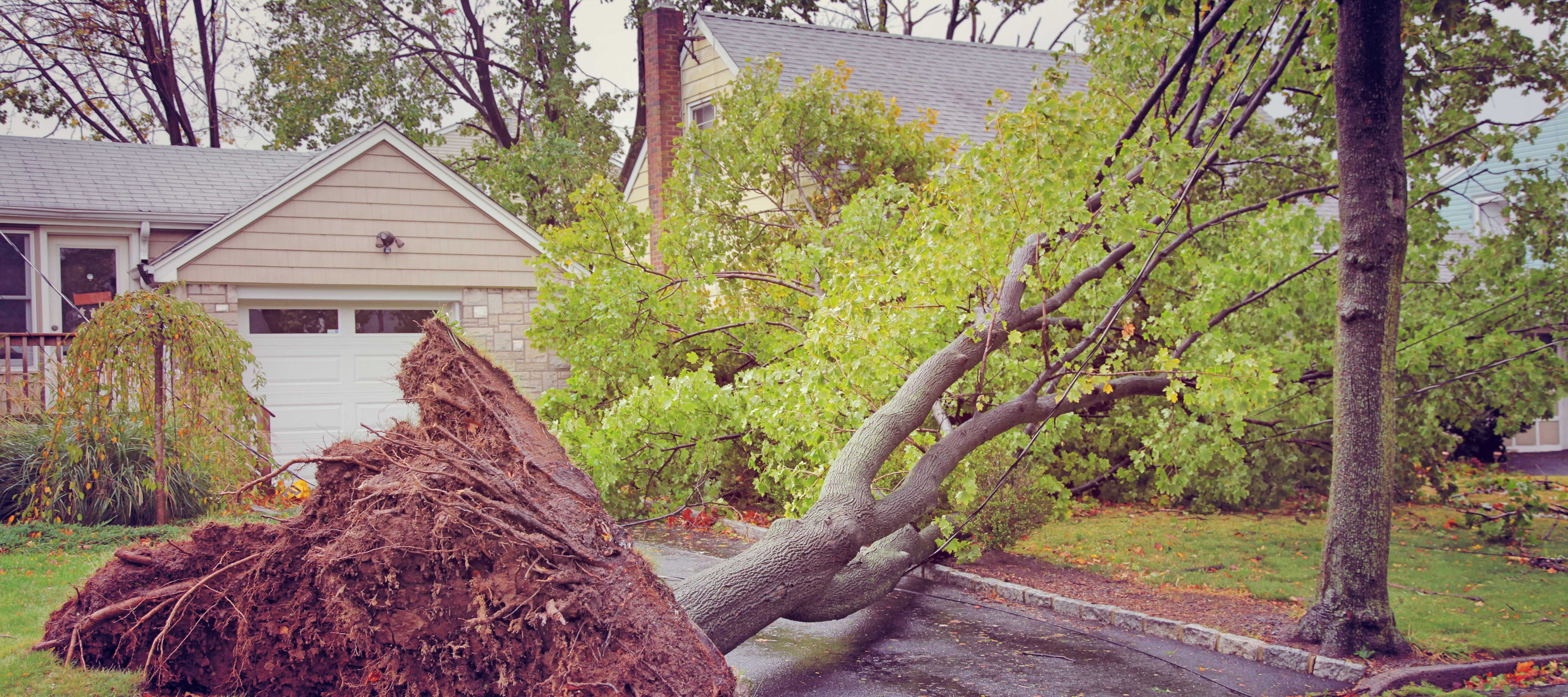 Recovering From Storm Water Damage in Springfield Missouri