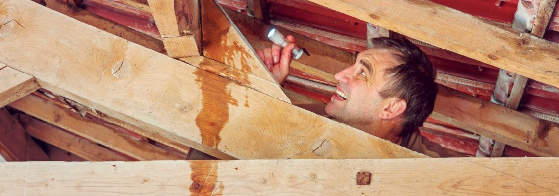 How to Prevent Attic Water Damage in Springfield Missouri