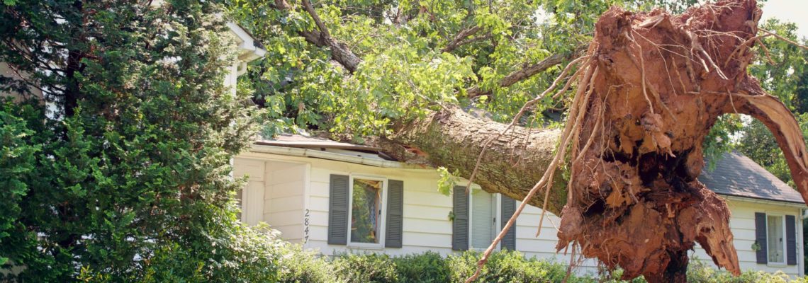 Steps To Take After Storm Damage in Springfield Missouri