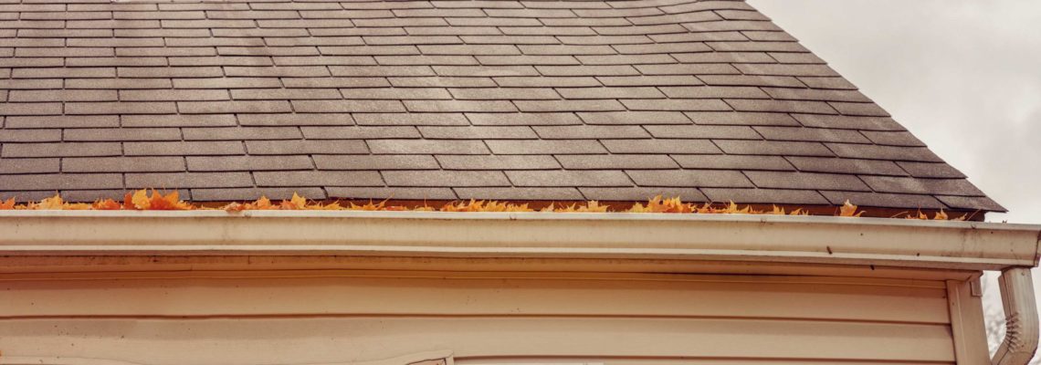 Roof Maintenance Tips To Avoid Water Damage In Springfield Missouri