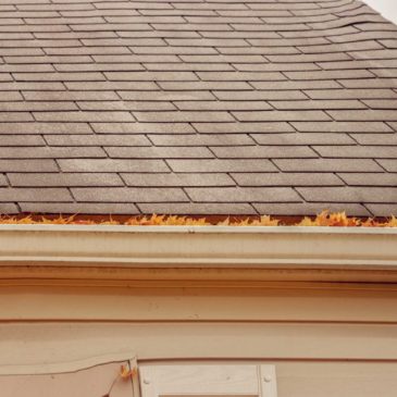 Roof Maintenance Tips To Avoid Water Damage In Springfield Missouri