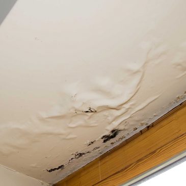 Minimize Water Damage Repair in Springfield Missouri From Roof Leaks