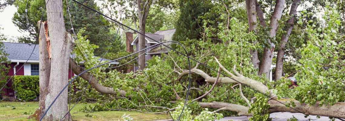 Tornado Safety Tips To Minimize Storm Damage in Springfield Missouri