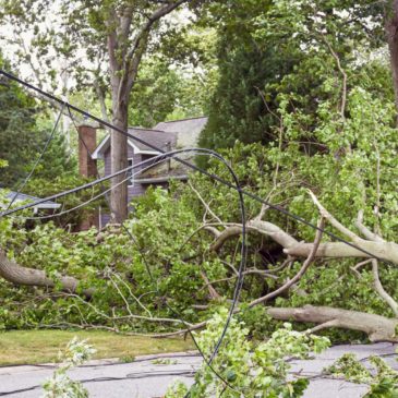 Tornado Safety Tips To Minimize Storm Damage in Springfield Missouri