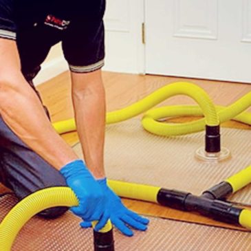 Hire The Experts For Water Damage Repair in Springfield Missouri