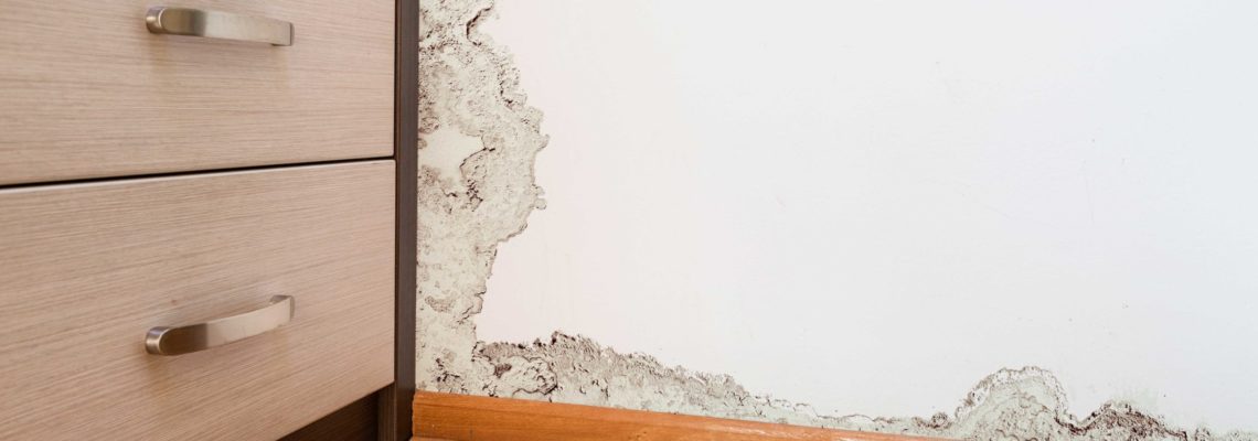Detecting Walls That Need Water Damage Cleanup in Springfield Missouri